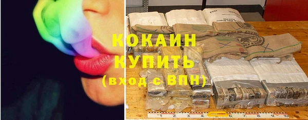 PSILOCYBIN Верхний Тагил