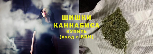PSILOCYBIN Верхний Тагил