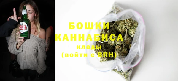 PSILOCYBIN Верхний Тагил