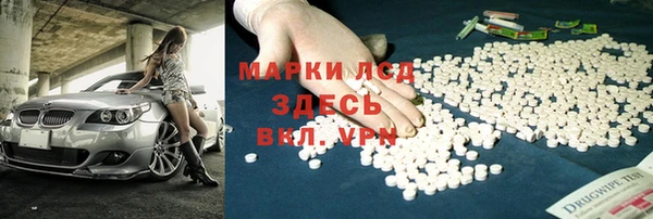 PSILOCYBIN Верхний Тагил