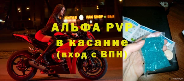 PSILOCYBIN Верхний Тагил