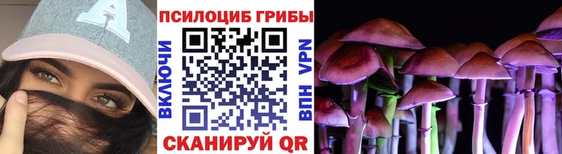 Галлюциногенные грибы мицелий как найти Северобайкальск
