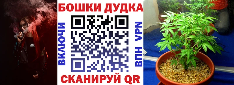 наркота  Северобайкальск  Каннабис план 